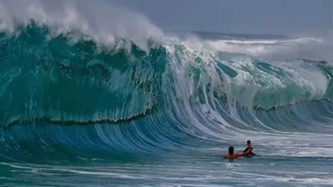 olas