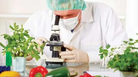ciencia