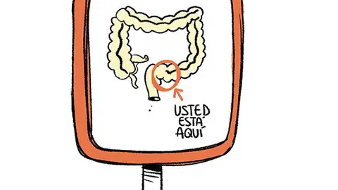 vi&ntilde;eta
