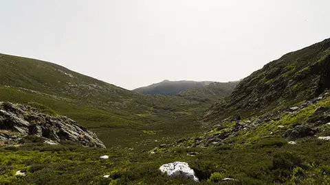 Galicia