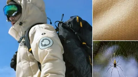 chaqueta seda ara&ntilde;a