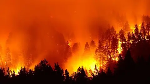 incendios-amazonas_opt (1)