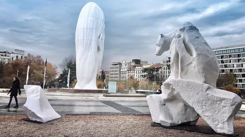 oso polar colon