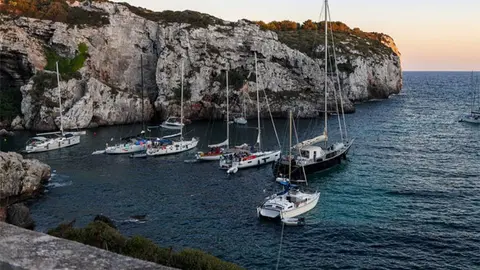 barcos