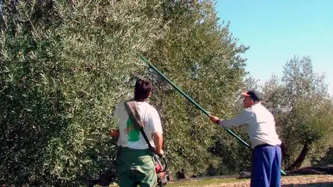 agricultores-smi-ugt