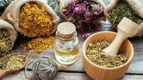 plantas-medicinales-esclerosis-multiple-min_opt