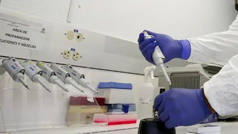 laboratorio-Int