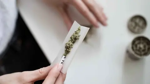 cannabis