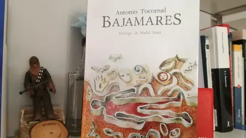 bajamares 1