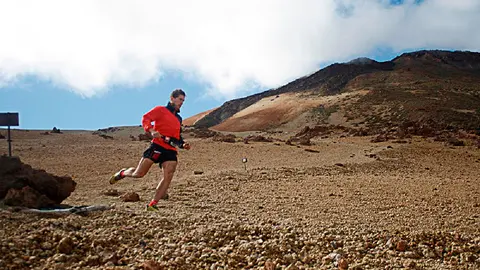 merillas-bajando-del-Teide