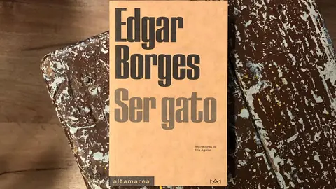 edgar gato