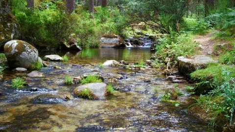en-el-rio-eresma-regios-montes-de-valsain-segovia-castilla-y-leon-1536x804