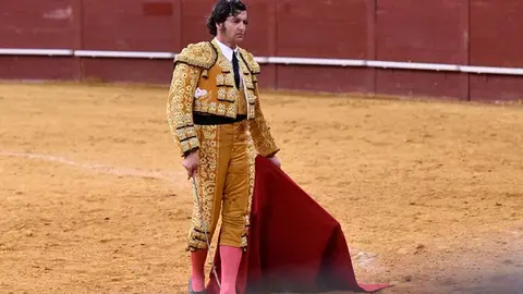 TOROS