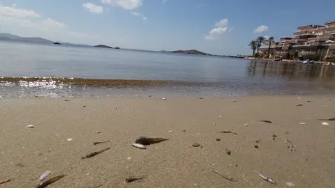 mar menor