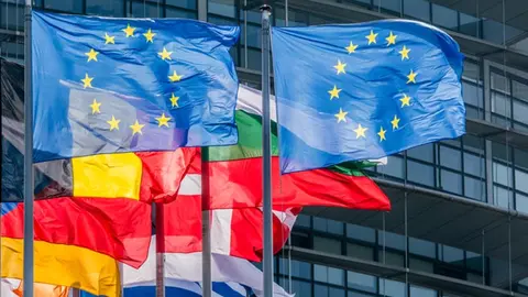 European Union Flags in Strasbourg