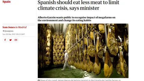 the guardian