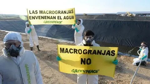 macrogranjas