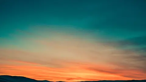 pexels-no-name-66997