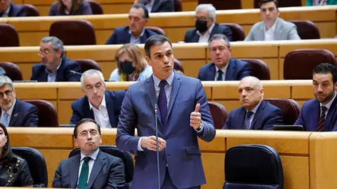 260422-sanchez_senado