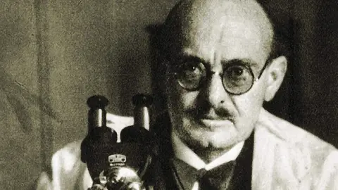 Gustavo Pittaluga