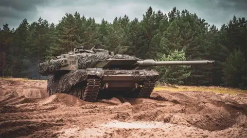 lleopard copia