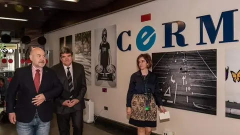 CERMI