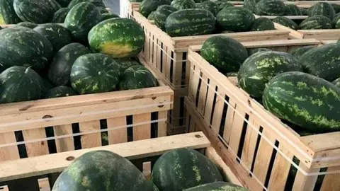 sandias_marruecos