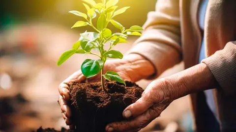Un nuevo estudio de personas mayores encontr&oacute; una mejor memoria y funci&oacute;n ejecutiva entre los que se ofrecieron como voluntarios. Cr&eacute;dito: Neuroscience News
