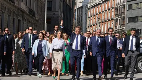 feijoo_llega_congreso