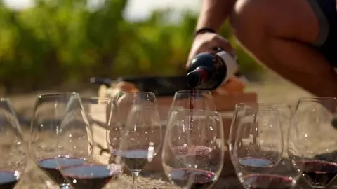 rioja_tierra-vinos-docuemntal