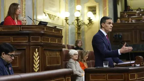 sanchez_debate_investidura