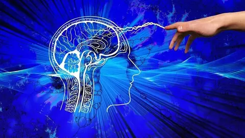 cerebro