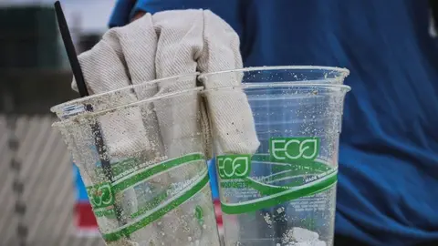 sector_ecologico