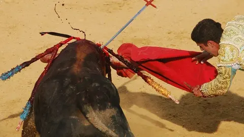 toros