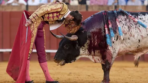 TOROS