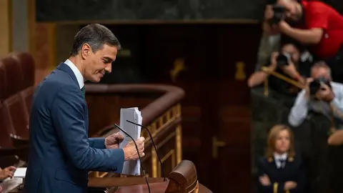 Pedro S&aacute;nchez