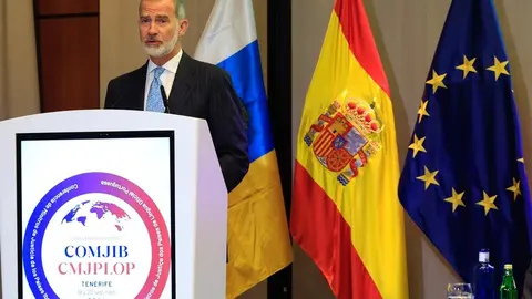 rey_felipe_vi