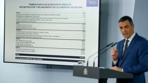 sanchez_plan_ayuda_dana
