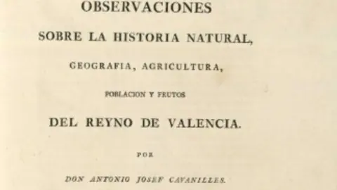 DOCUMENTO_CAVANILLES 1