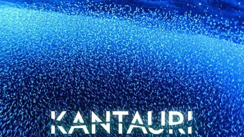 kantauri 1