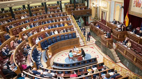 pleno_congreso