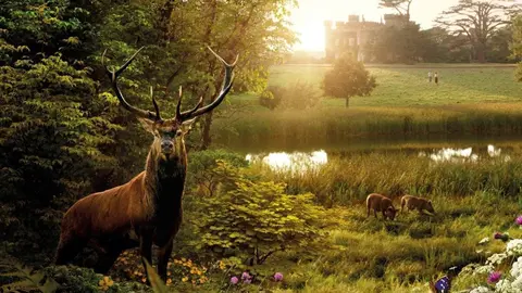 Wilding_el_regreso_de_la_naturaleza-893038380-large