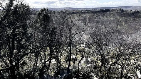 Incendio_Sierra_Culebra