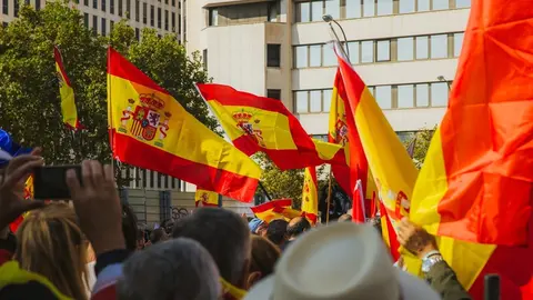 manifestaci&oacute;n vox