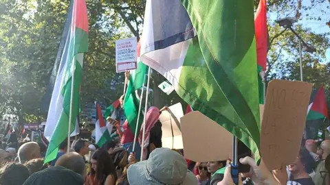 manifestacion propalestina madrid