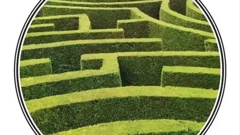 Bosques-jardines-y-sociedades-secretas 1