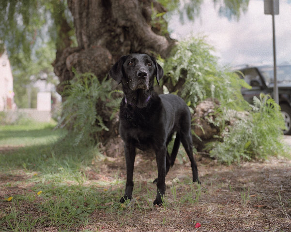 Abigail_Ojai_CA1