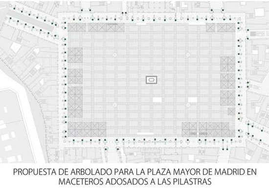 arboles-plaza-mayor