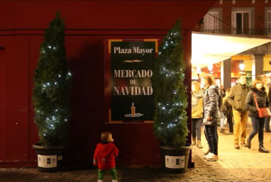 arboles-plaza-mayor1