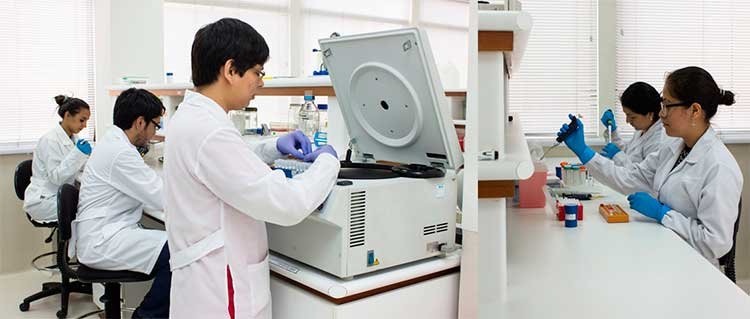laboratorio